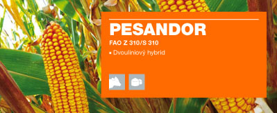 Pesandor - obrázek
