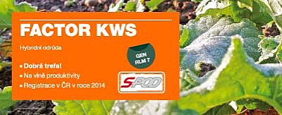 FACTOR KWS - obrázek